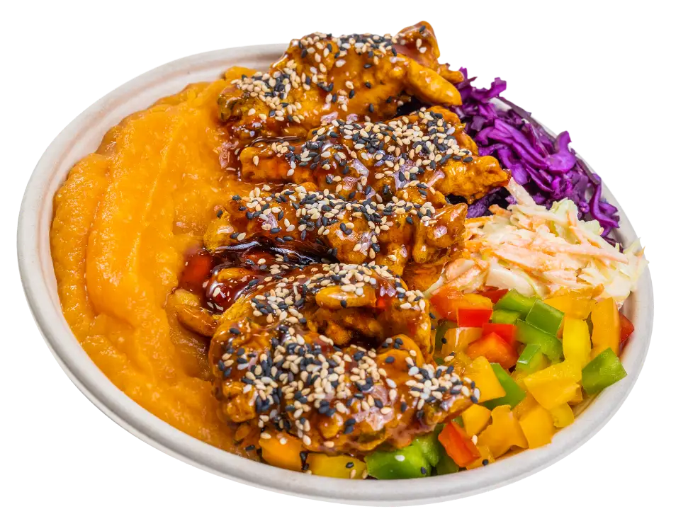 Teriyaki chicken