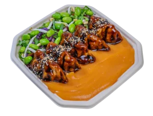 Gyoza-teriyaki chicken bowl