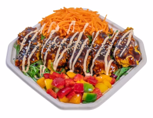 Rice teriyaki chicken